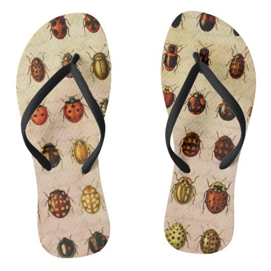 Tongs Bug d'insectes coccinelle de coccinelle (Semelle)