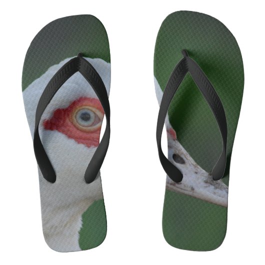 tongs _ canard (Semelle)