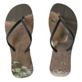 Tongs Capybara (Semelle)