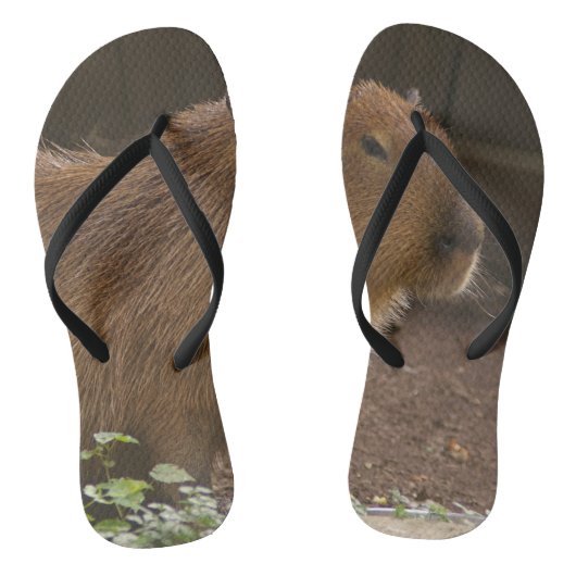 Tongs Capybara (Semelle)