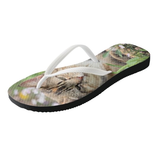 Tongs Cat (Incliné)