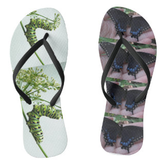 Tongs Caterpillar Noir/Papillon