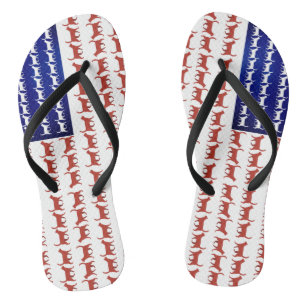 Tongs Chats américains décor patriotique
