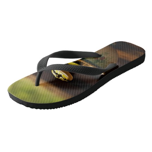 Tongs Chaussons lunaires : Entrez dans l'Imaginaire avec (Incliné)