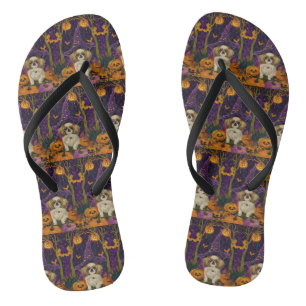 Tongs Chien Pékin Spooky Halloween Sorcière Et Citrouill