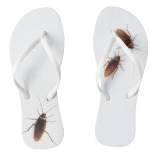 Tongs Cockroach