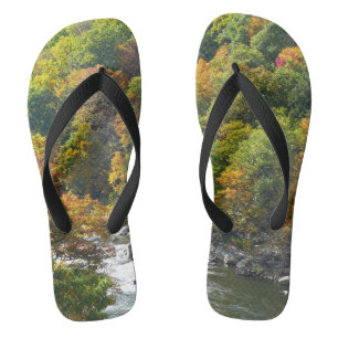 Tongs Couleur d'automne dans le parc d'état d'Ohiopyle