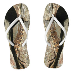 Tongs Crotale dans le parc national de Shenandoah
