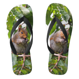 Tongs Cuite Cerise cueillir Écureuil gris