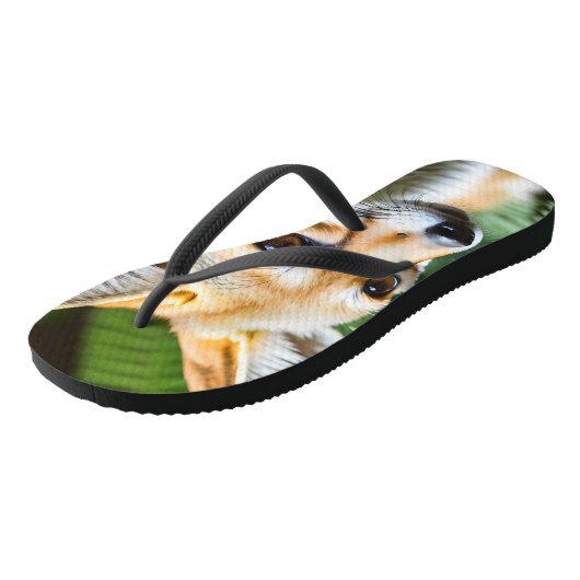 Tongs Cunning Fennec Fox, (Incliné)