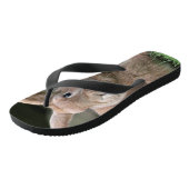 Tongs Cute lapin de gingembre avec de grandes oreilles (Incliné)