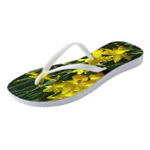 Tongs Daffodiles Jaunes I Fleurs De Printemps Cheveux (Incliné)