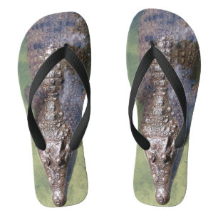 Tongs de crocodile