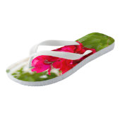 Tongs De grosses roses rouges dans le jardin (Incliné)