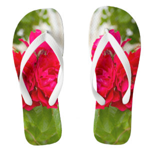 Tongs De grosses roses rouges dans le jardin