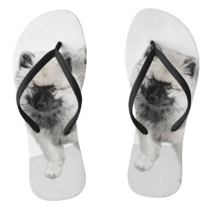 Tongs Dessin Keeshond Chiot - Joli dessin original Chien