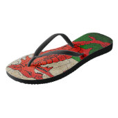 Tongs Dragon gallois sur un mur fissuré (Incliné)