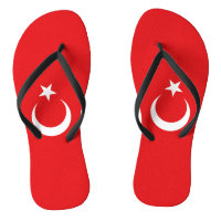 Drapeau Turquie
