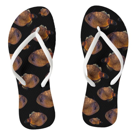 Tongs École De Poisson De Taureau, (Semelle)