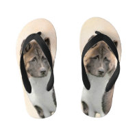 Akita Peinture - Cute Original Chien Art