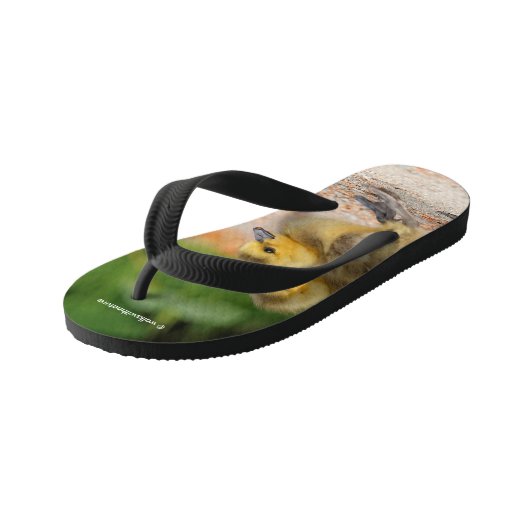 Tongs Enfants Vigueur sur la parade : Goélands d'oies du Canada (Incliné)