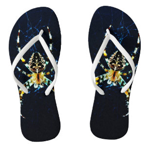 Tongs European Garden Spider