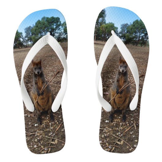 Tongs "Fête de la nature : un casse-croûte de Wallaby" (Semelle)