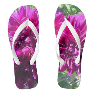 Tongs Feuilles de fleur pourpre Dahlia