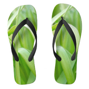 Tongs Feuilles fraîches de plante verte