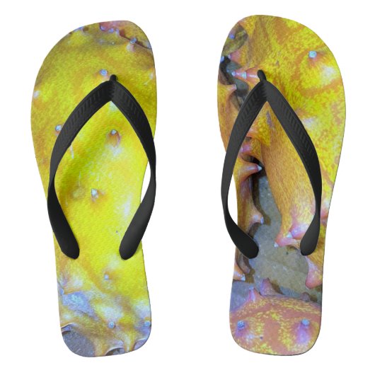 Tongs Fruit Flip Flops (Semelle)