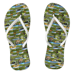 Tongs Golf, Collarge Photo, Flip Flops