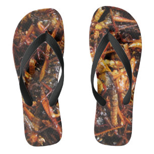 Tongs Grasshopper frit (Takkataen Thot) Alimentation asi