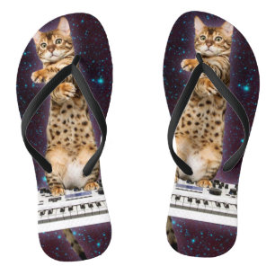 Tongs grèves de chat à nouveau