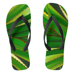 Tongs Gros plan sur le Pandanus