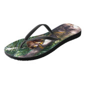 Tongs "Haut dans les arbres : Un arbre australien grimpe (Incliné)