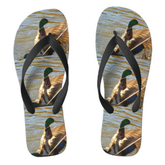 Tongs Je le plains