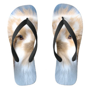 Tongs Joli lapin blanc et brun flamand