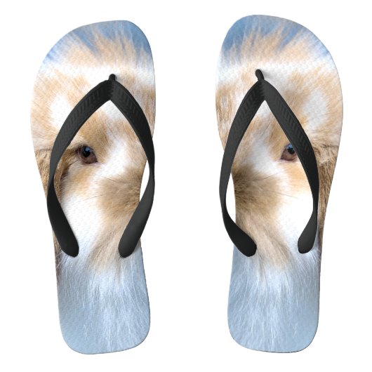 Tongs Joli lapin blanc et brun flamand (Semelle)