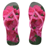 Joli rose rose Geranium