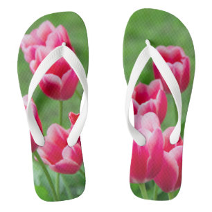 Tongs Jolis tulipes écarlates dans le jardin