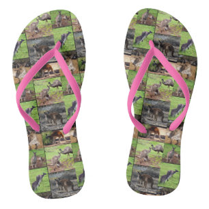 Tongs Kangaroo Photo Collage,