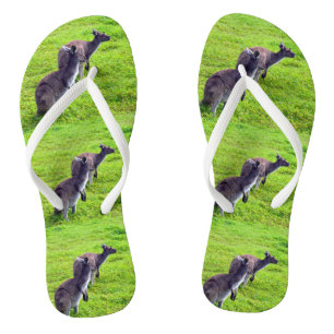 Tongs Kangaroos En Herbe Verte, Feuilles