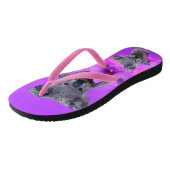 Tongs Koala et Orchidées (Incliné)