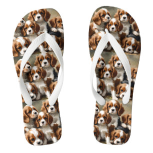 Tongs L'Amour Est Six Cavalier Spaniel Puppy,