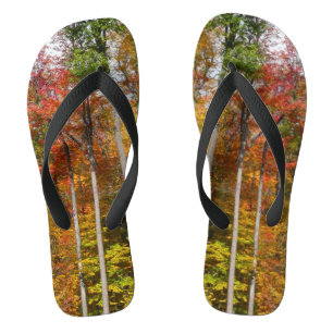 Tongs L'automne dans la forêt Photographie d'automne col