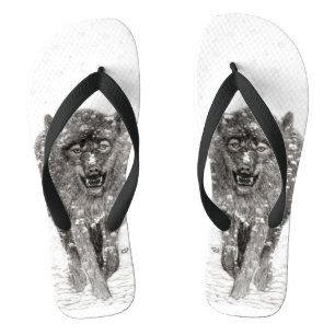 Tongs Loup noir en colère dans la neige, hiver sauvage