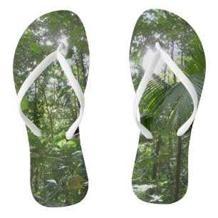 Tongs Lumière du soleil à travers la canopée de la forêt
