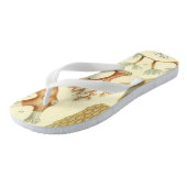 Tongs Manuel de sciences Biologie, Animaux de corail anc (Incliné)