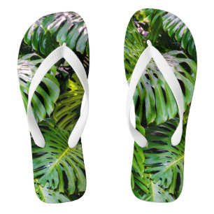 Tongs Monstera Feuilles, Limahuli Gardens, Kauai, Hawaii