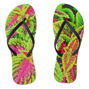 Tongs Motif Feuille de la nature vibre